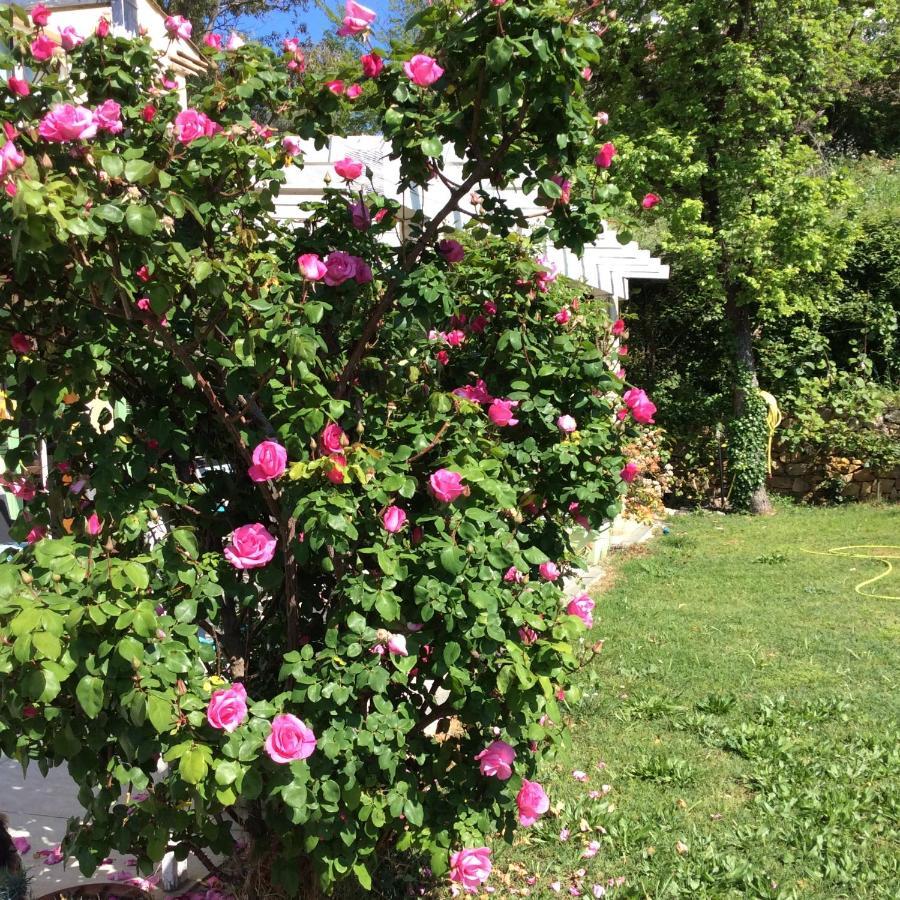 Appartamento Bienvenue Chez Alain Et Marie Antibes Esterno foto